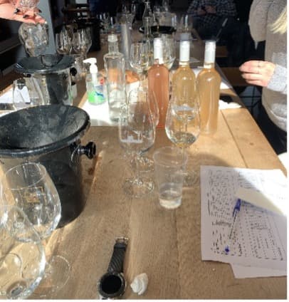 Wine tasting experience