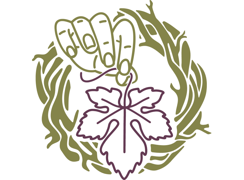 Oh My Grape! logo