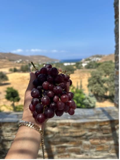 Αγροτουριστικές Εμπειρίες